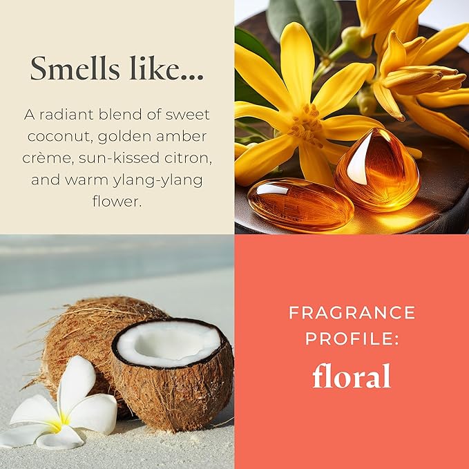PartyLite Coastal Amber & Shea Scented, Notes of Ylang Flower, Citron, Sweet Coconut & Amber Creme, 13.2oz 3-Wick Jar Candle, 45 Hour Burn Time, Luxurious Fragrance, Ideal for Gifting