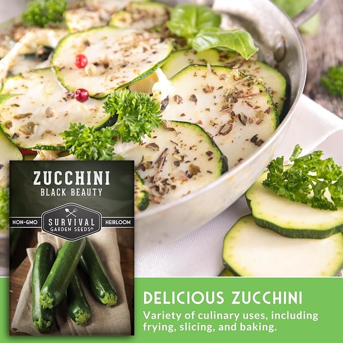 Black Beauty Zucchini Seeds for Planting - Heirloom Summer Squash Variety for Vegetable Garden Growing - High Yield Dark Green Zucchinis - Survival Garden Seeds (3 Packs)