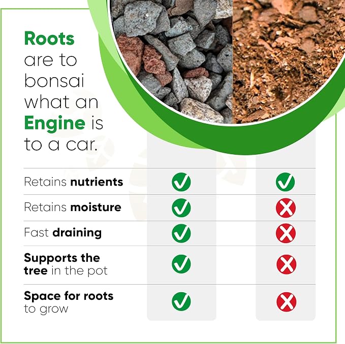 Tinyroots Bonsai Soil Mix - All Purpose Ready to Use Blend for All Varieties of Bonsai Trees, 4.5 Quarts