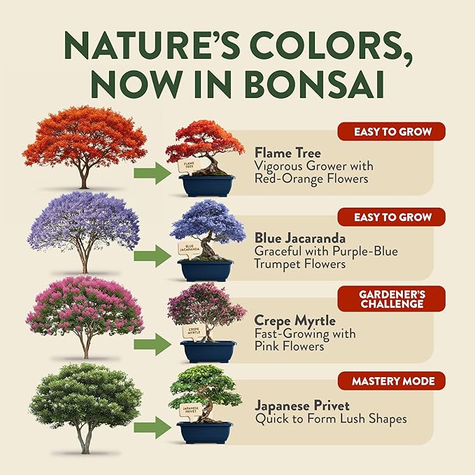 HOME GROWN Bonsai Tree Starter Kit – Unique Christmas Gift for Adults, Men, Women - Grow 4 Bonsais & HOME GROWN Succulent & Cactus Seed Kit for Planting