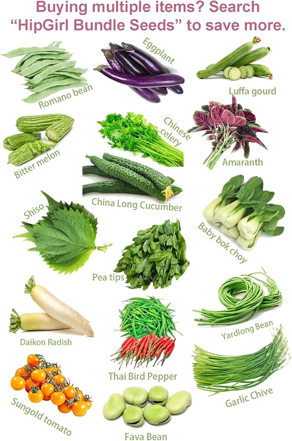 Bean Seeds for Planting Vegetables and Fruits. Pole Beans,Bush Beans,Romano Beans.Non GMO Garden Seeds for Home Vegetable Garden-40g(22ct+) Chinese Broard Bean Fava Bean Seed, Veggie Cover Crop 蚕豆