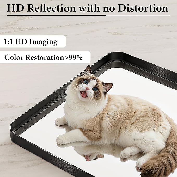 Matte Black Metal Framed Vanity Rounded Rectangle Bathroom 24X32 Inch Mirrors