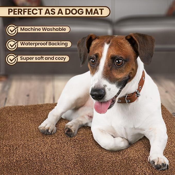 Premium Microfiber Indoor Door Mat – 24"x36" Washable Entry Mat, Non-Slip, Waterproof Backing, Super Absorbent, Low Profile Entryway Doormat for Indoor Entrance