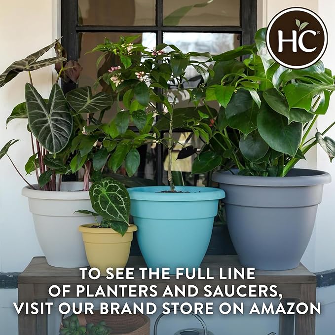 The HC Companies 6 Inch Caribbean Planter Pots with Drainage & Plug, Rolled Rim Plastic Planters for Indoor & Outdoor Plants, 4-Pack Decorative Flower Pots for Garden, Office & Home Decor, Black