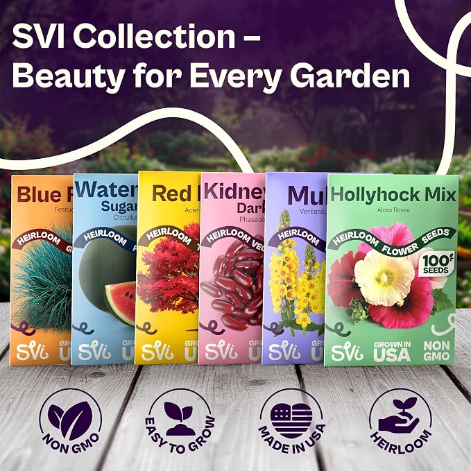 SVI 750 Lemongrass Seeds (Cymbopogon flexuosus) – West Indian Lemon Grass Seed Packets – Non GMO Heirloom Aromatic Culinary Herb Seeds for Containers, Outdoor & Indoor Herb Garden