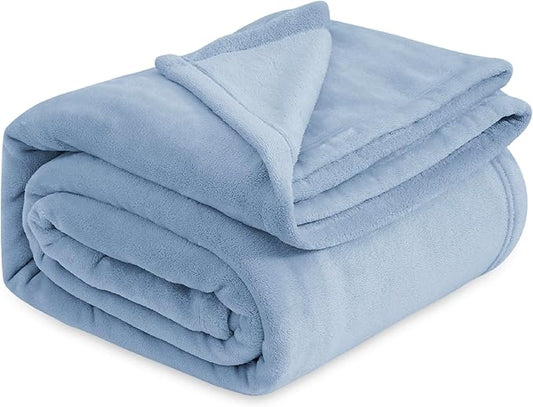 Bedsure Fleece Bed Blankets Queen Size Light Blue - Soft Lightweight Plush Fuzzy Cozy Luxury Blanket Microfiber, 90x90 inches
