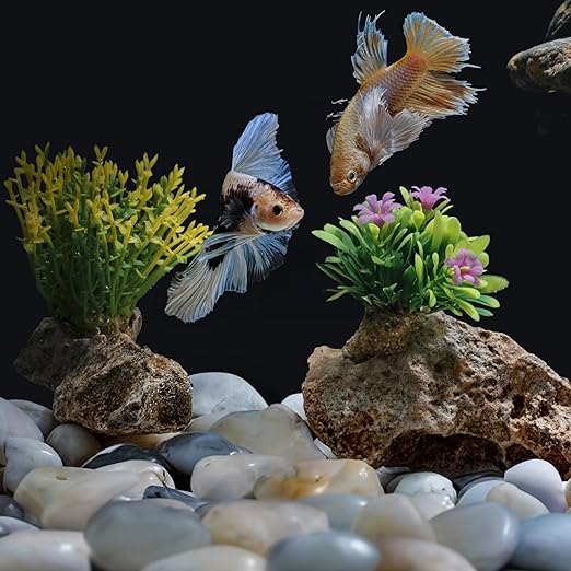 White River Rocks 20lbs, 1-2Inch Natural Pebbles for Plants, High Polished Decorative Stones for Aquarium Vase Filler Fish Tank Landscaping Garden