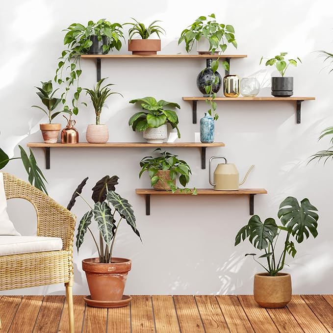 DINZI LVJ Long Wall Shelves, 31.5 Inch Wall Mounted Shelves Set of 2,