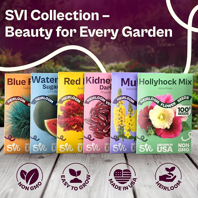 SVI 35 Cherry Tiny Tim Tomato Seeds (Solanum Lycoperscium) - Dwarf Cherry Tomato Seed Packets, Sweet Mini Tomatoes - Heirloom Vegetable Seeds for Containers, Patio, Indoor & Outdoor Garden
