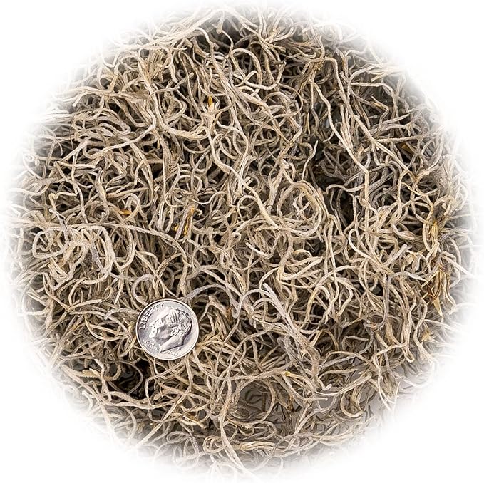 Premium Natural Spanish Moss | Natural Preserved - Great Ground Cover - Filler for Potted Plants - by GARDENERA - 1 Quart Bag