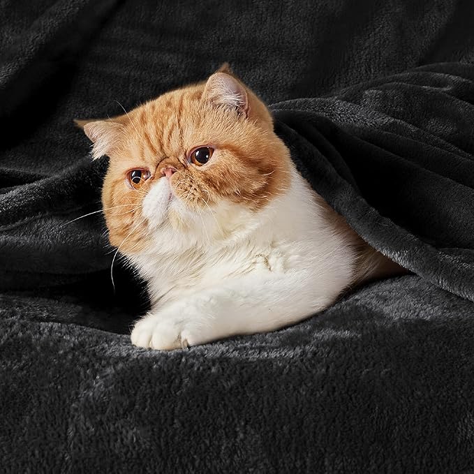 Bedsure Fleece Throw XL Blanket Black - 300GSM Soft Lightweight Plush Cozy Blankets for Bed, Sofa, Couch, Travel, Camping, 50x70 inches