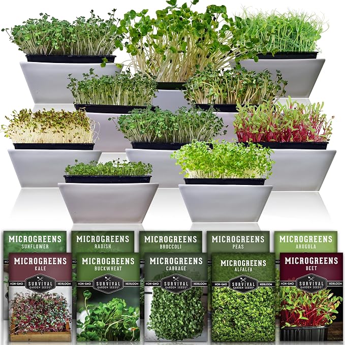 Microgreen Seeds Variety Pack – 10 Heirloom Types for Indoor Sprouting – Broccoli, Pea, Sunflower, Radish, Kale, Arugula & More – High Germination Non-GMO – Survival Garden Seeds (Seed Packs Only)