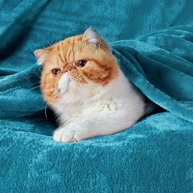 Bedsure Fleece Blankets Queen Size Teal - Bed Blanket Soft Lightweight Plush Fuzzy Cozy Luxury Microfiber, 90x90 inches