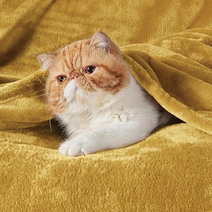 Bedsure Fleece Throw XL Blanket Yellow - 300GSM Soft Lightweight Plush Cozy Blankets for Bed, Sofa, Couch, Travel, Camping, 50x70 inches