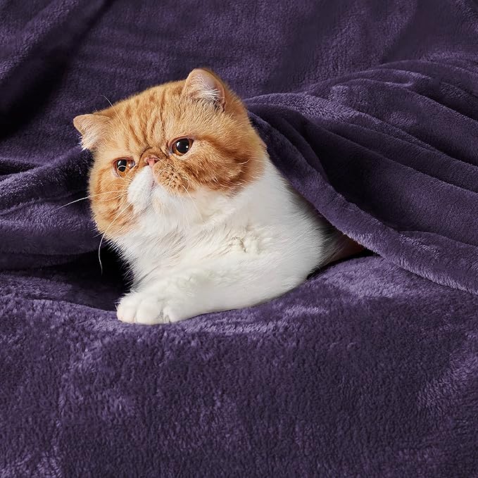 Bedsure Fleece Blankets Queen Size Purple - Bed Blanket Soft Lightweight Plush Fuzzy Cozy Luxury Microfiber, 90x90 inches