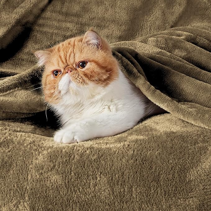 Bedsure Fleece Blankets Queen Size Camel - Bed Blanket Soft Lightweight Plush Fuzzy Cozy Luxury Microfiber, 90x90 inches