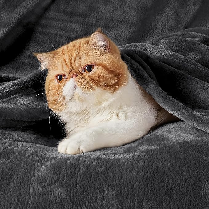Bedsure Fleece Blanket California King Size Charcoal - Lightweight Plush Fuzzy Cozy Soft Bed Blankets, 102x96 inches